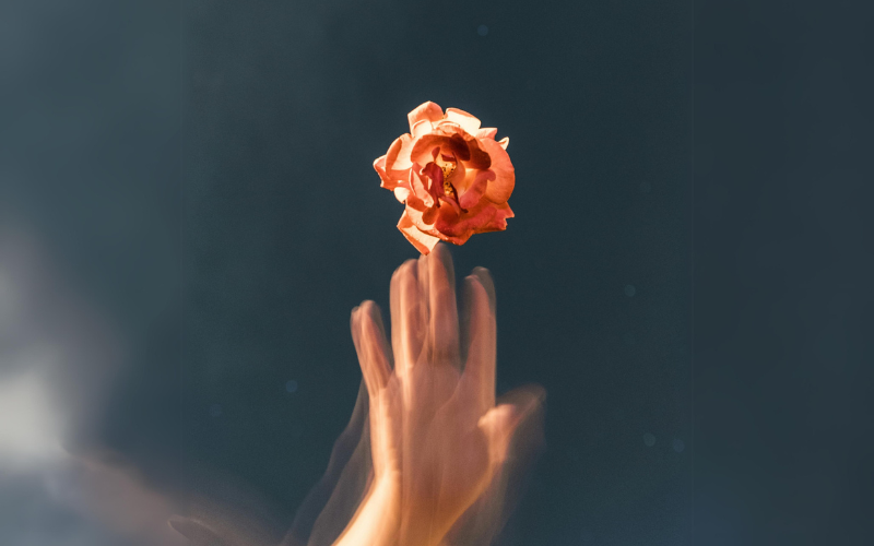 abstract hand touching a flower